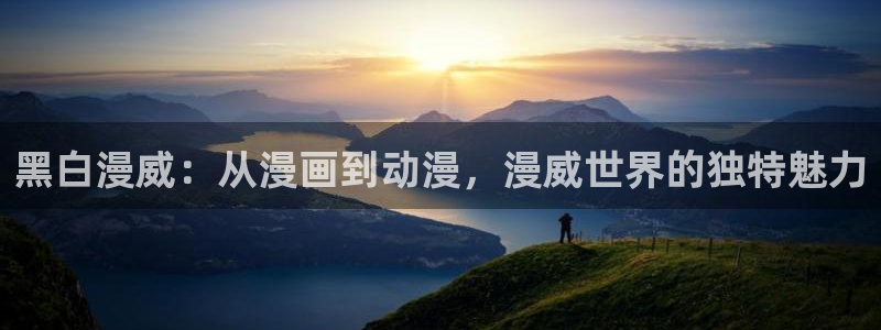 动漫之家社区版有什么区别