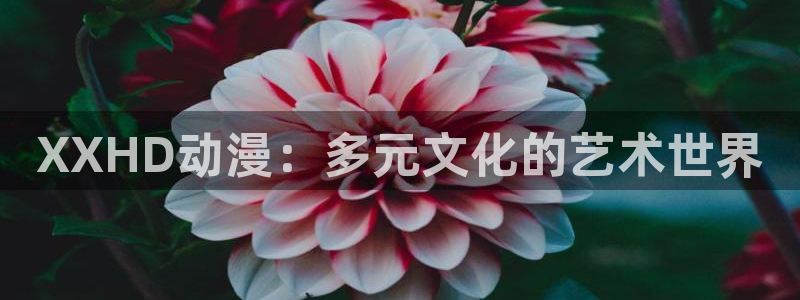 你遭难了吗动漫之家