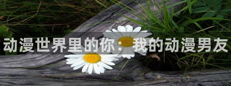 其他动漫动漫之家：动漫世界里的你：我的动漫男友