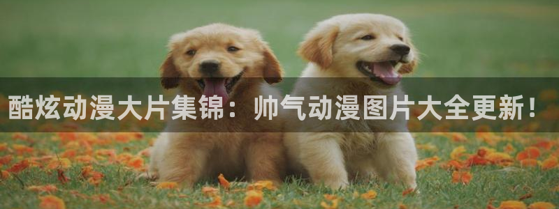 动漫之家有些漫画看不了：酷炫动漫大片集锦：帅气动漫图片大全更新！