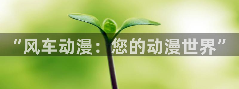 动漫之家pc：“风车动漫：您的动漫世界”