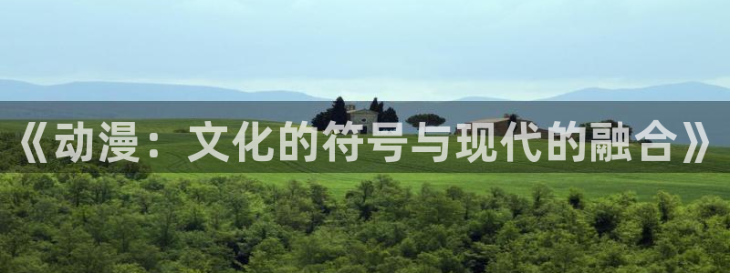 其他动漫之家：《动漫：文化的符号与现代的融合》