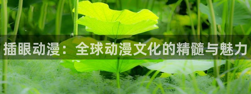动漫之家登录：插眼动漫：全球动漫文化的精髓与魅力