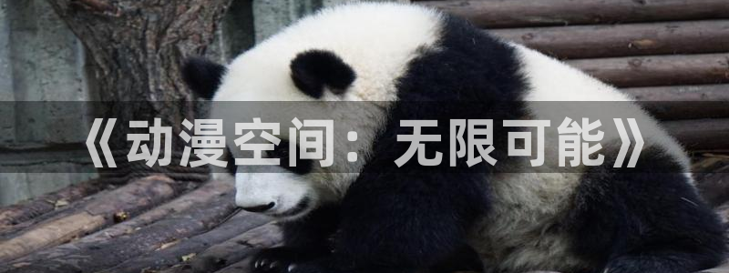 动漫之家最新：《动漫空间：无限可能》