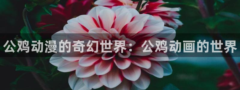 动漫之家漫画网手机：公鸡动漫的奇幻世界：公鸡动画的世界