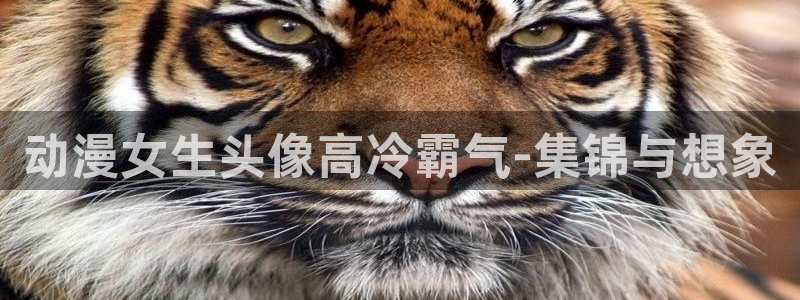 甜蜜惩罚动漫之家：动漫女生头像高冷霸气-集锦与想象