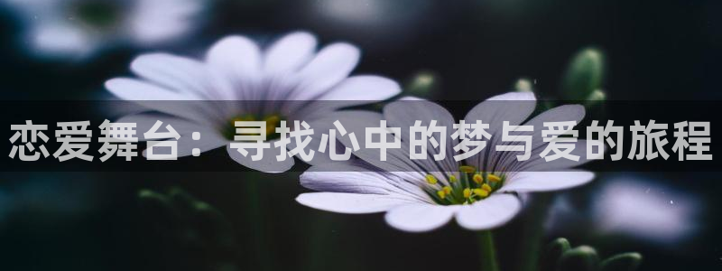 网站动漫之家