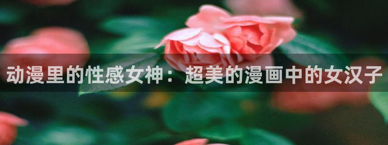 动漫之家网页漫画