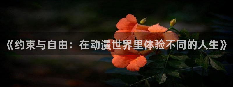 动漫之家看本地漫画：《约束与自由：在动漫世界里体验不同的人生》