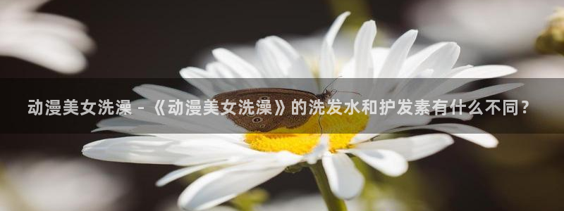 动漫之家漫画下载：动漫美女洗澡 - 《动漫美女洗澡》的洗发水和护发素有什么不同？