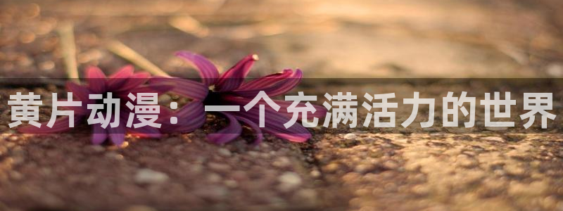 动漫之家漫画分类：黄片动漫：一个充满活力的世界