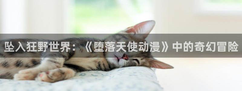 动漫之家推荐漫画：坠入狂野世界：《堕落天使动漫》中的奇幻冒险