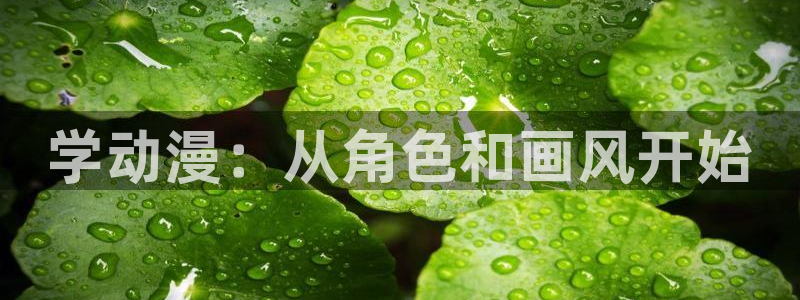 动漫之家被：学动漫：从角色和画风开始