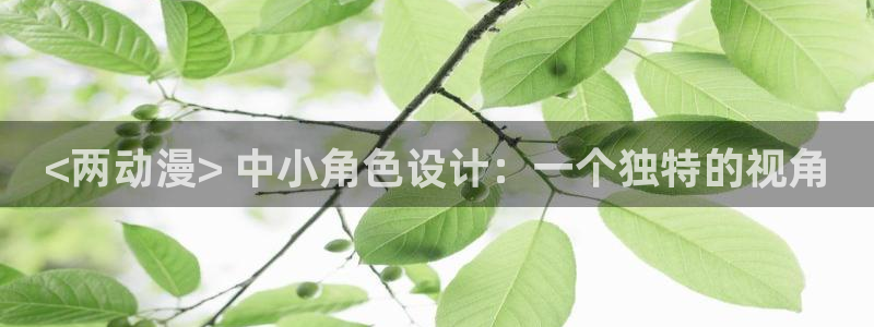 动漫之家 小说：<两动漫> 中小角色设计：一个独特的视角