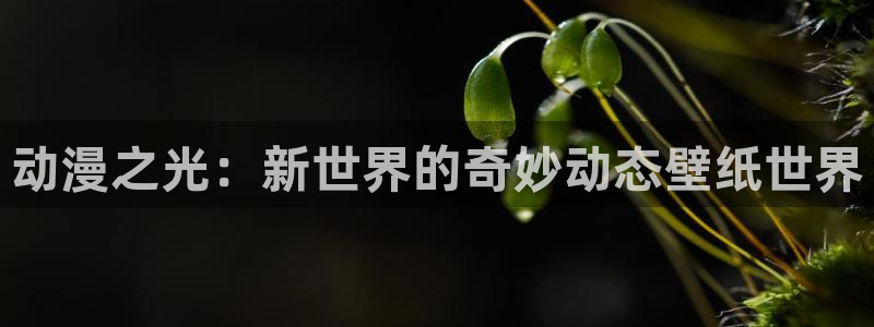 动漫之家,网站：动漫之光：新世界的奇妙动态壁纸世界