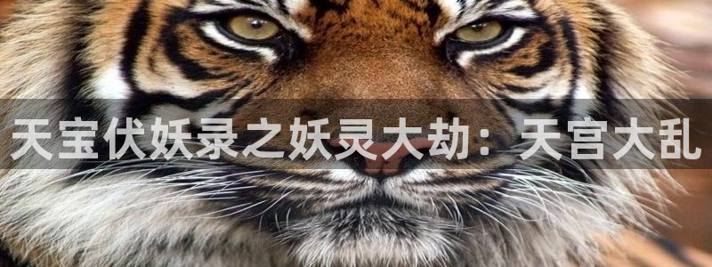 动漫之家官网：天宝伏妖录之妖灵大劫：天宫大乱