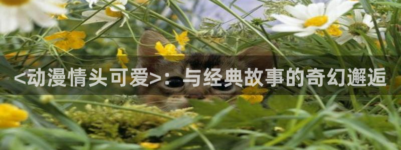动漫之家178：<动漫情头可爱>：与经典故事的奇幻邂逅