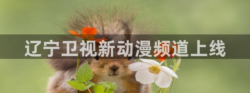 如何在动漫之家看漫画：辽宁卫视新动漫频道上线