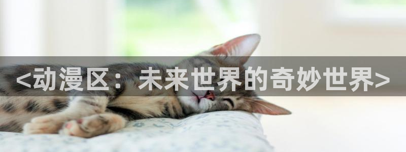 安卓动漫之家：<动漫区：未来世界的奇妙世界>