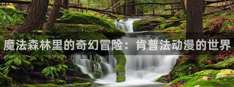 动漫之家在哪下：魔法森林里的奇幻冒险：肯普法动漫的世界