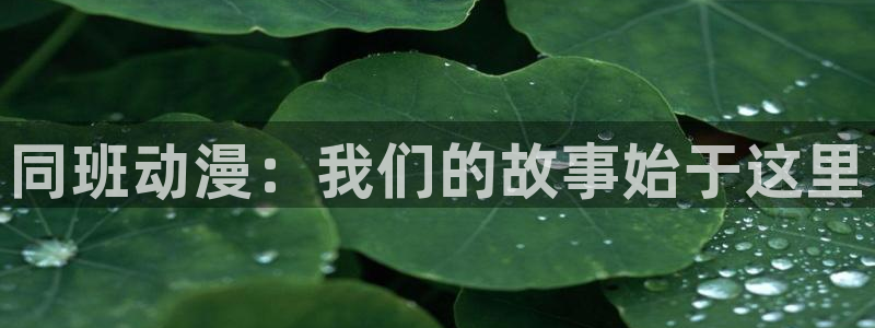 动漫之家网页端：同班动漫：我们的故事始于这里