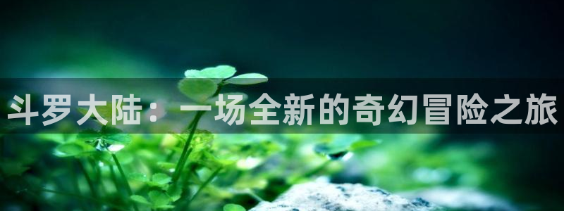 黄动漫之家：斗罗大陆：一场全新的奇幻冒险之旅