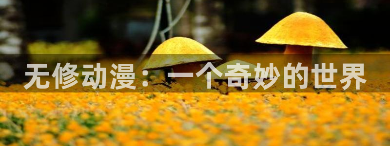 艳母动漫之家：无修动漫：一个奇妙的世界
