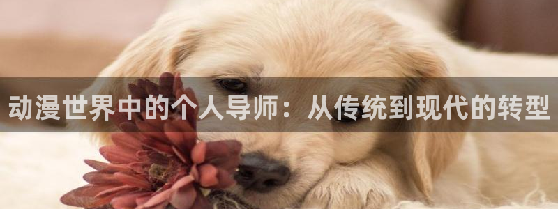 无颜之月动漫之家：动漫世界中的个人导师：从传统到现代的转型