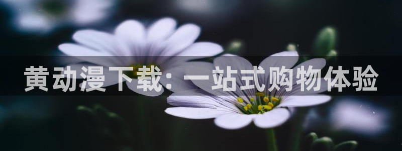 dmzj动漫之家：黄动漫下载: 一站式购物体验