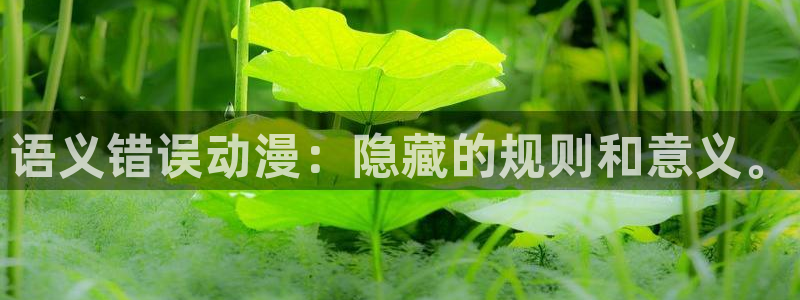 动漫之家漫：语义错误动漫：隐藏的规则和意义。