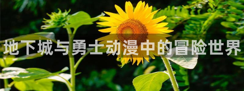 免费动漫之家：地下城与勇士动漫中的冒险世界