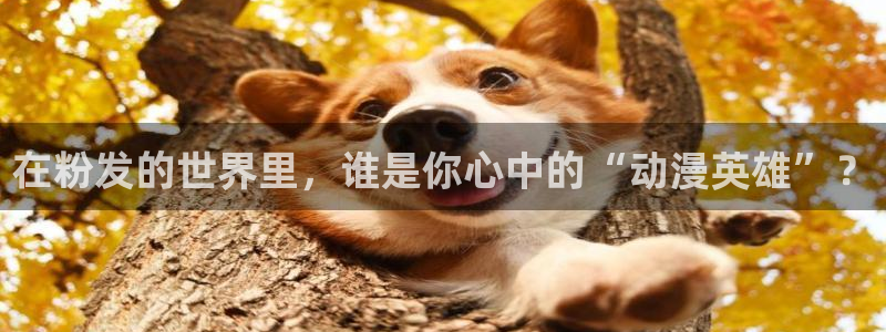 黄金树之路动漫之家：在粉发的世界里，谁是你心中的“动漫英雄”？