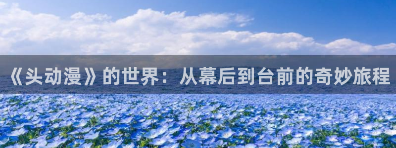 动漫之家在线观看免费：《头动漫》的世界：从幕后到台前的奇妙旅程