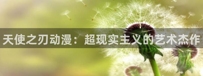全职法师动漫之家：天使之刃动漫：超现实主义的艺术杰作