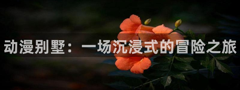 动漫之家社区版：动漫别墅：一场沉浸式的冒险之旅