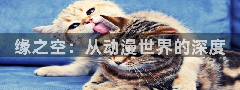 动漫之家怎么找到神隐：缘之空：从动漫世界的深度