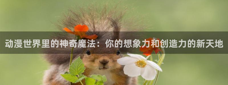 动漫之家旧版：动漫世界里的神奇魔法：你的想象力和创造力的新天地