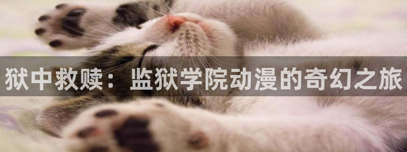 排球少年漫画动漫之家：狱中救赎：监狱学院动漫的奇幻之旅