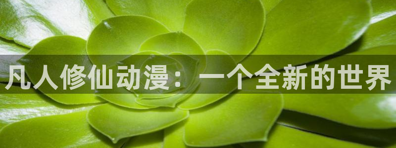 动漫之家漫画网手机：凡人修仙动漫：一个全新的世界