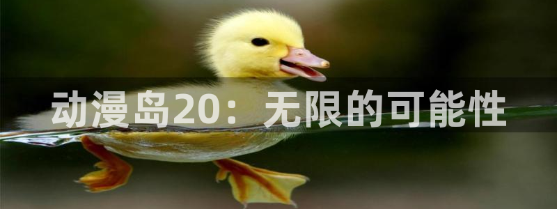 动漫之家隐藏：动漫岛20：无限的可能性