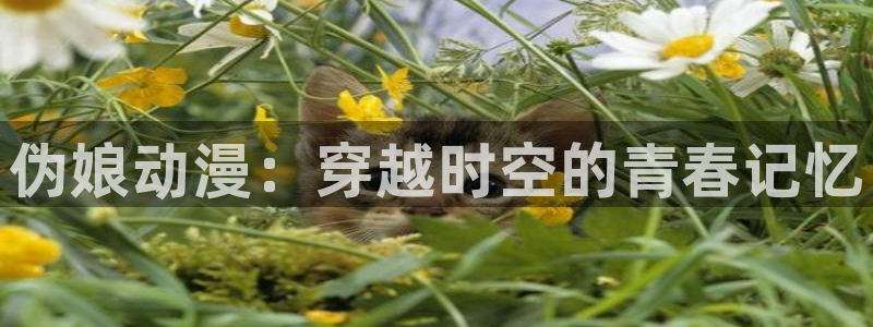 动漫之家社区版下载：伪娘动漫：穿越时空的青春记忆