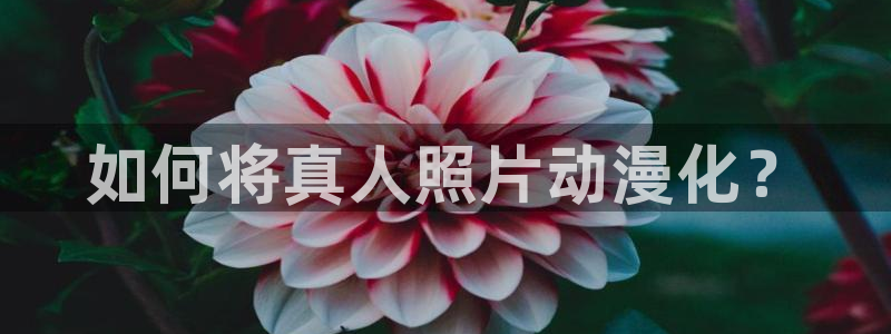 动漫之家网最新更新：如何将真人照片动漫化？