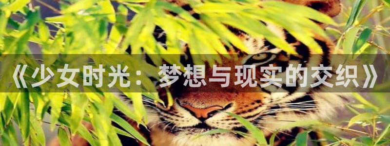 动漫之家免费下载：《少女时光：梦想与现实的交织》