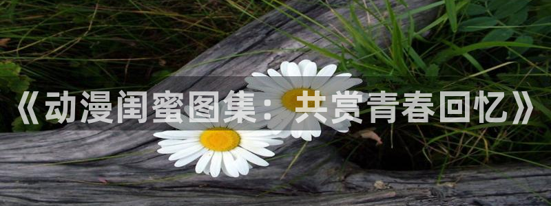 动漫之家老版本：《动漫闺蜜图集：共赏青春回忆》